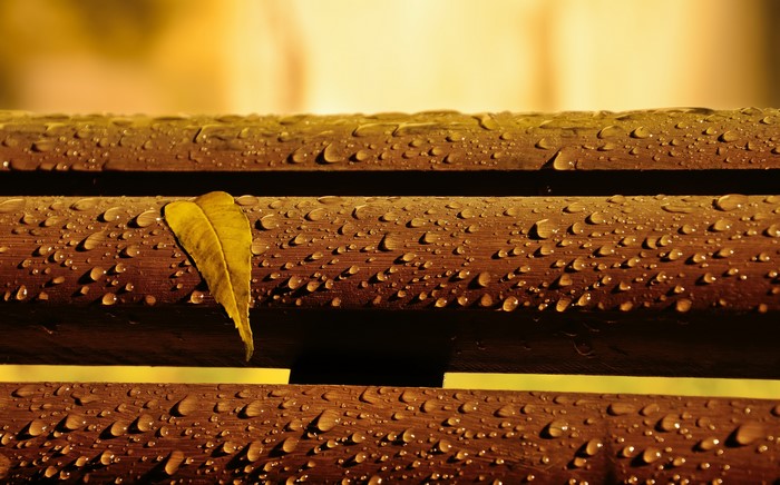 Close-up of a wet wooden bench with a single leaf