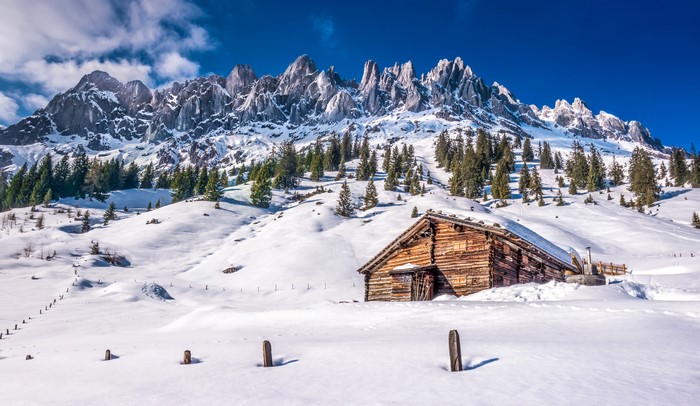 Snowy Mountains with Wooden Cabin and Spruce Trees