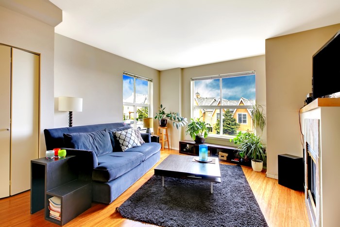 Living room with blue sofa and coffee table