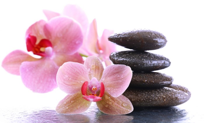 Pink Orchid Flowers and Stacked Spa Stones with Water Drops