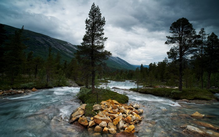 River flowing through a forest with mountains in the background