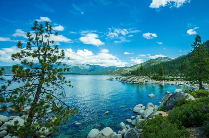 Lake Tahoe with Pine Tree and Rocky Shoreline