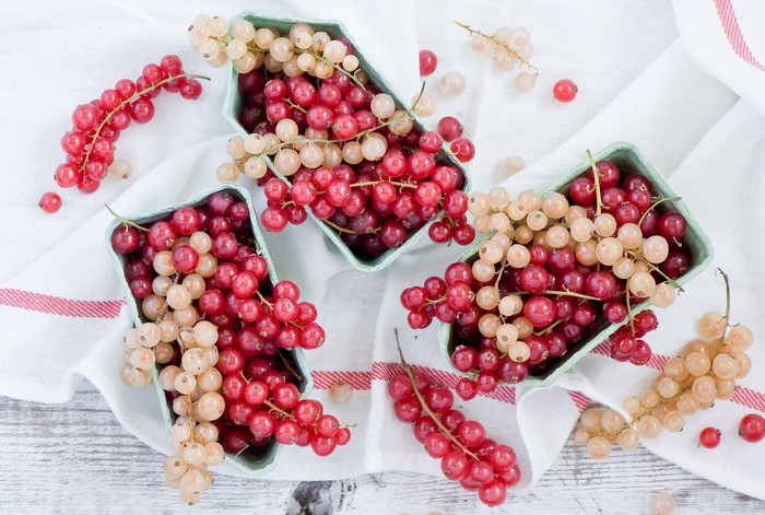Red and white currants in paper containers