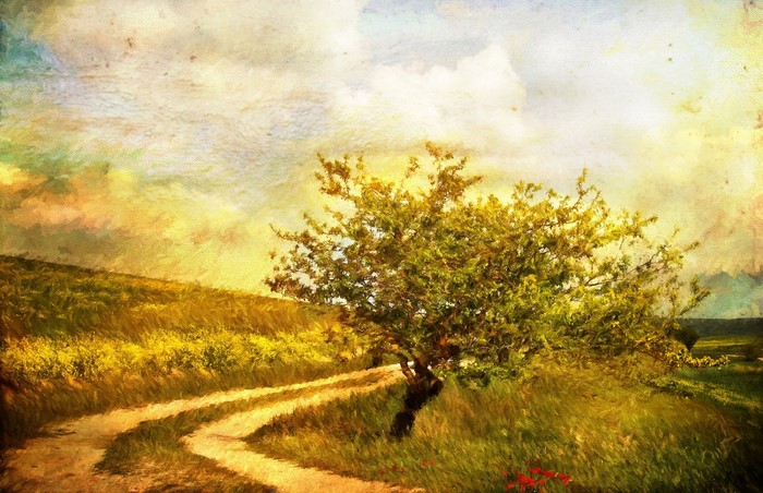 Dirt road winding through a grassy hill with a tree