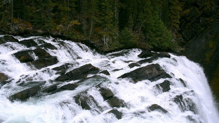 Waterfall cascading over dark rocks with evergreen forest