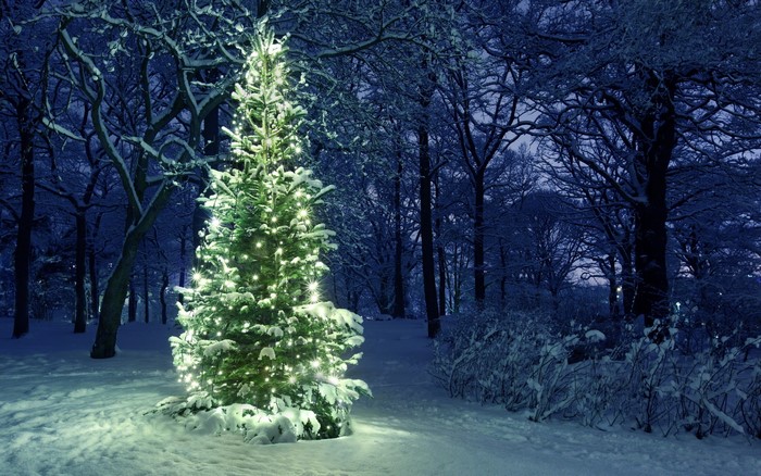 Decorated Christmas tree in a snowy forest at night