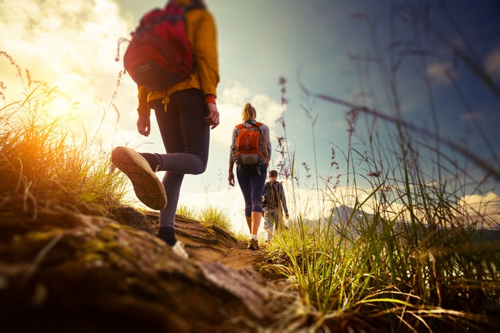 Hikers with backpacks on a trail
