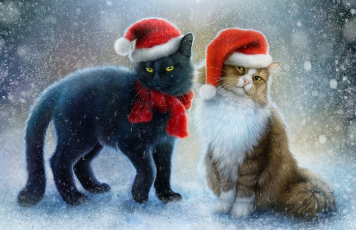Two cats in Santa hats in the snow