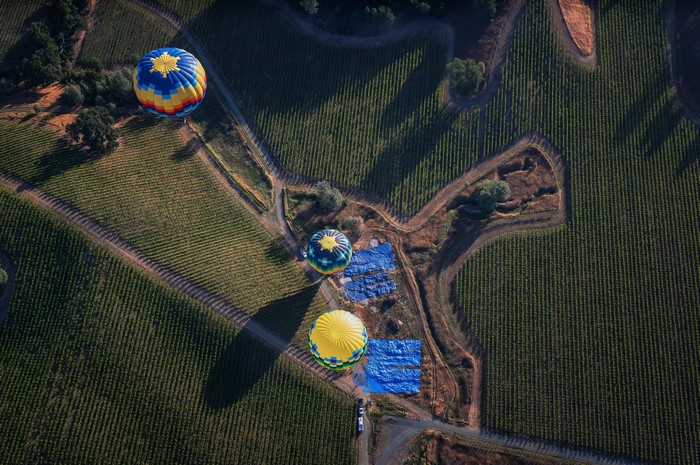 Hot air balloons over vineyards from above