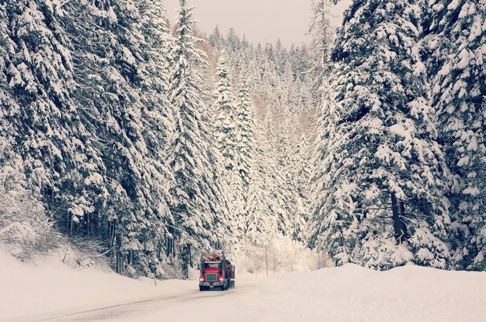 Red truck driving on a snowy road through a forest