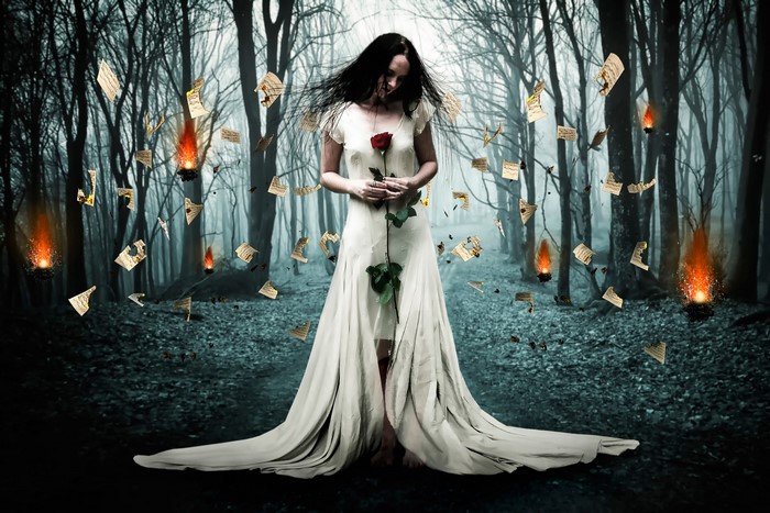 Woman in white dress holding a red rose in a dark forest with burning papers