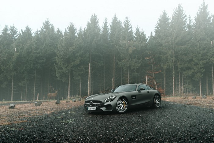 Mercedes-Benz AMG GT S in a foggy forest with a deer