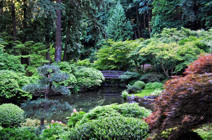 Japanese Garden with Pond and Bridge in Oregon