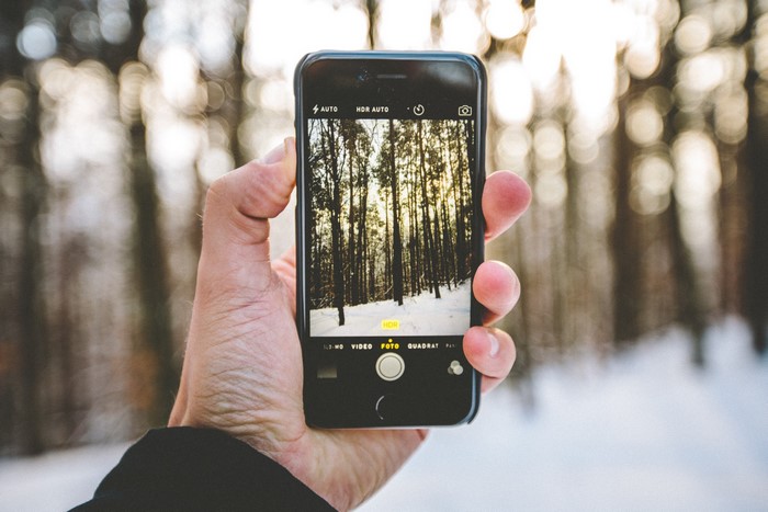 Hand holding iPhone taking picture of snowy forest