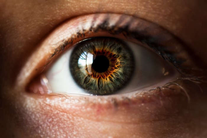 Extreme close-up of a human eye with heterochromia