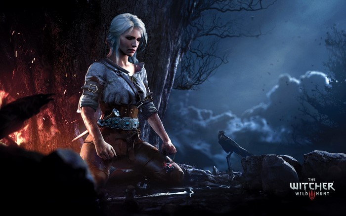 Ciri from The Witcher 3: Wild Hunt