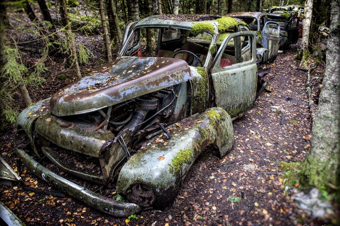 Abandoned cars overgrown with moss in a forest