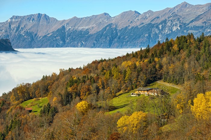 Autumn forest and mountains above clouds in Switzerland