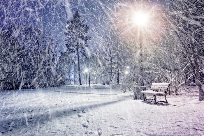 Winter park at night with snow and street lights