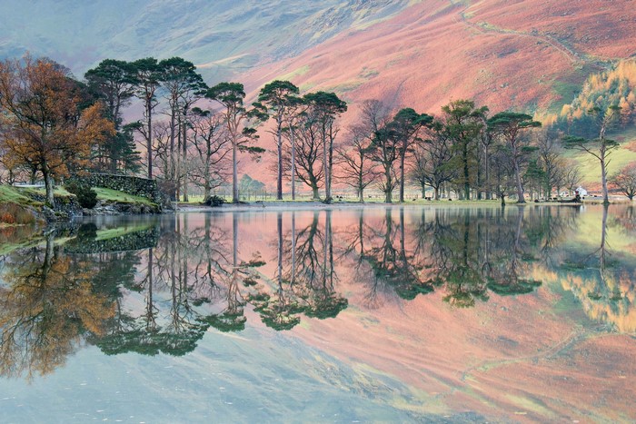 Trees reflected in a lake with a mountain background