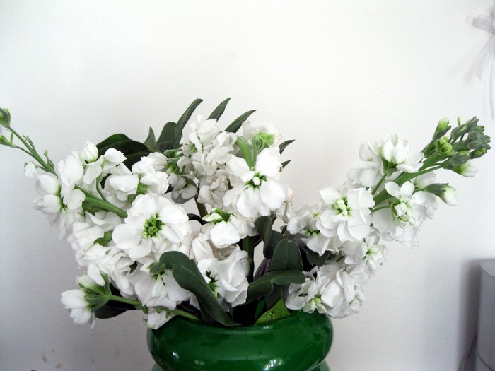 White Matthiola flowers in a green vase
