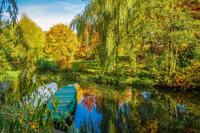 Autumn park with pond and boats