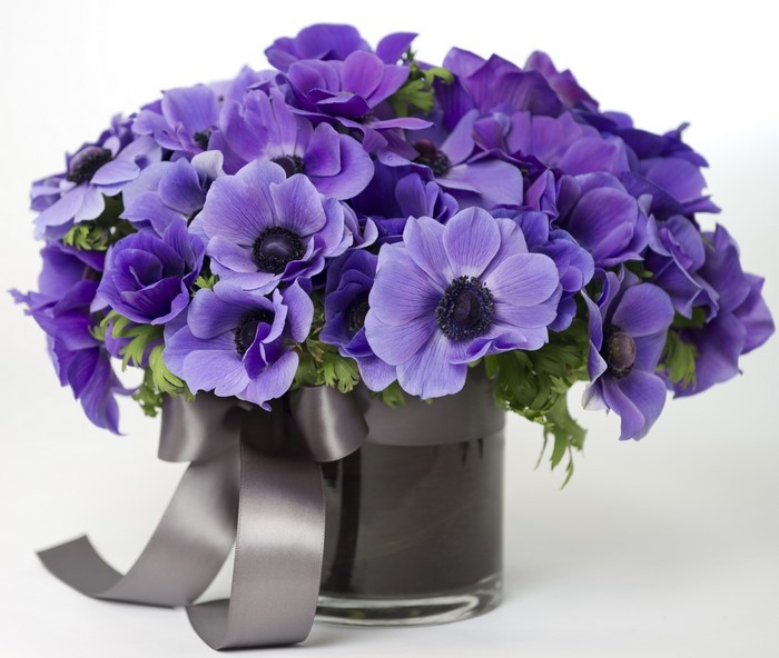 Purple Anemone Bouquet in a Glass Vase with Ribbon