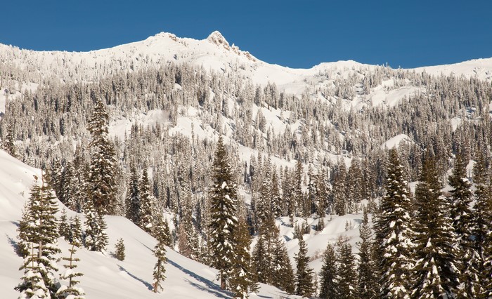 Snowy Mountain Landscape with Trees in Lassen Volcanic National Park