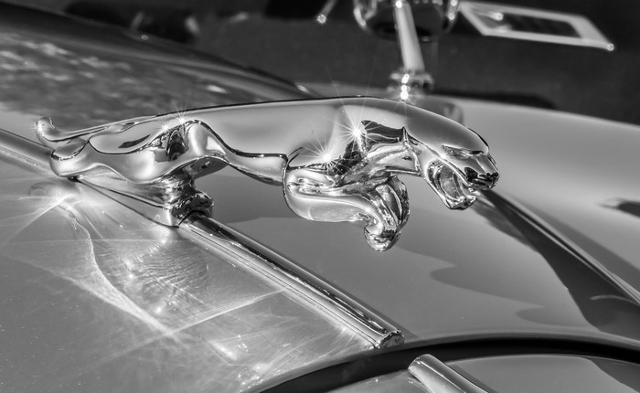 Chrome Jaguar hood ornament on a car