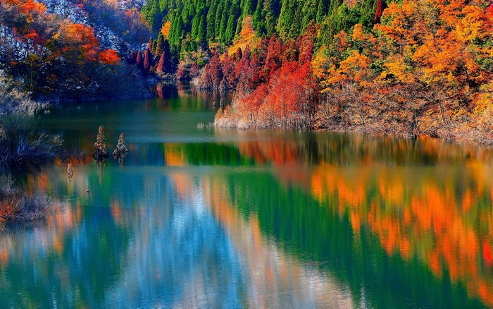 Lake in Autumn Forest