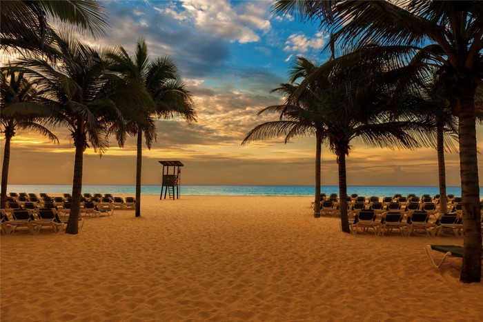 Beach with palm trees and lounge chairs at sunset