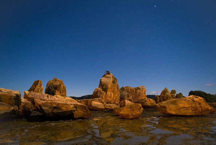 Rocky coast under a starry night sky