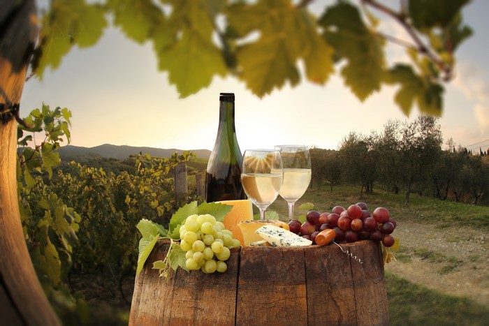 Wine, Grapes, and Cheese in a Vineyard