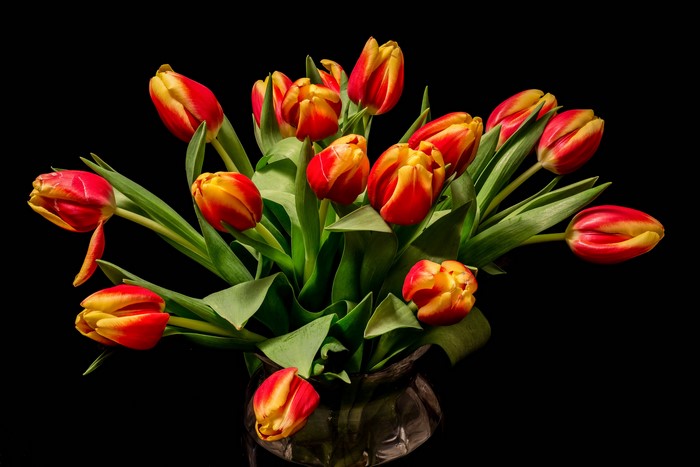 Bouquet of Red and Yellow Tulips