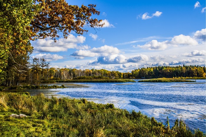 Lake and Autumn Forest under Blue Sky with Clouds