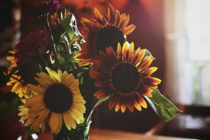 Sunflowers in a vase