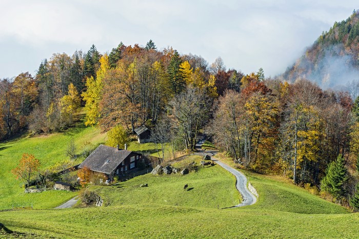Autumn landscape with houses and forest in Hasliberg, Switzerland