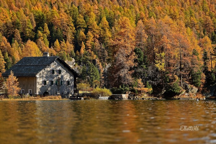 House by a lake with autumn forest