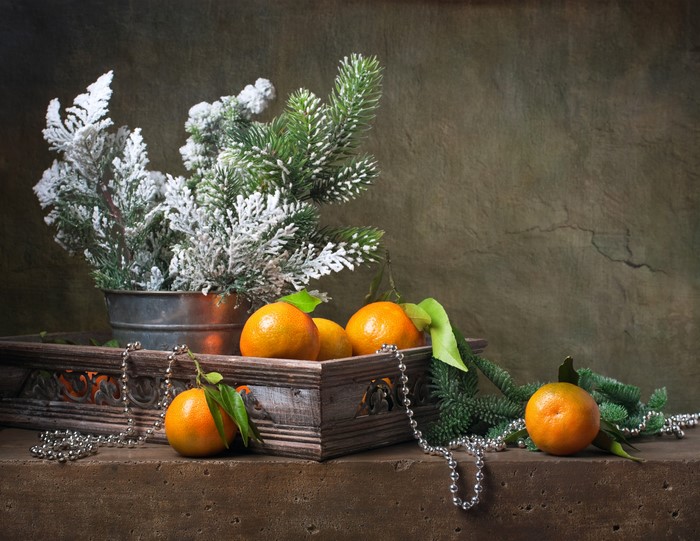 Still life with tangerines and fir branches