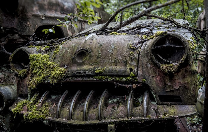 Abandoned car covered in moss and vines