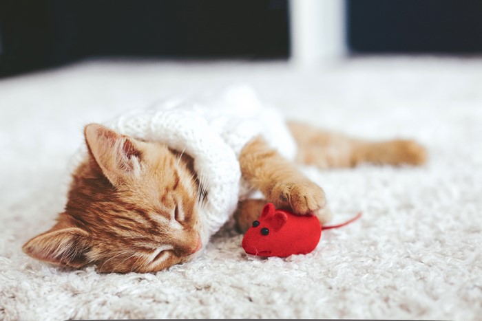 Orange kitten sleeping with a red mouse toy