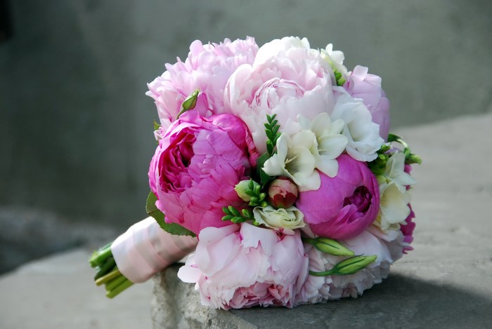 Pink and white peonies and freesia bouquet
