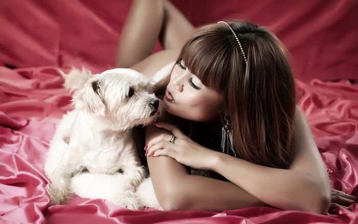 Woman kissing a small white dog on a pink satin bed