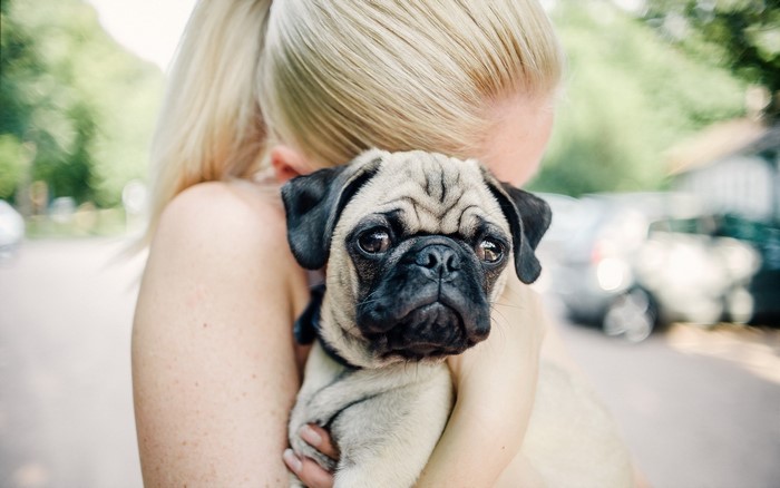 Woman holding a pug puppy