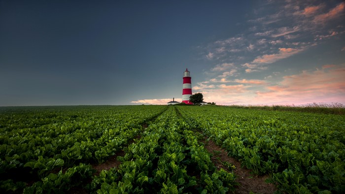 Red and white lighthouse in a field at sunset