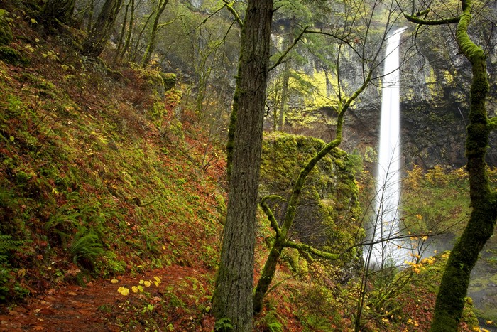 Elowah Falls Oregon USA Autumn Forest Waterfall