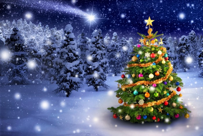 Christmas tree in snowy forest at night