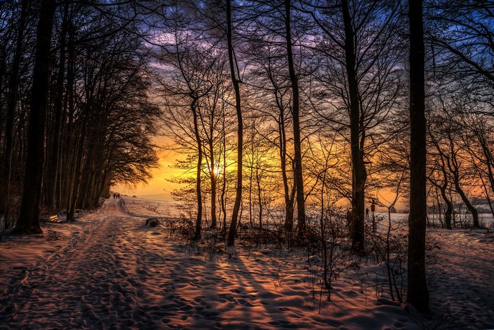 Winter sunset over a snowy forest trail