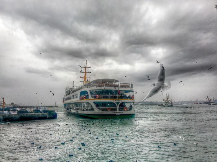Ferry boat and seagulls on a cloudy day