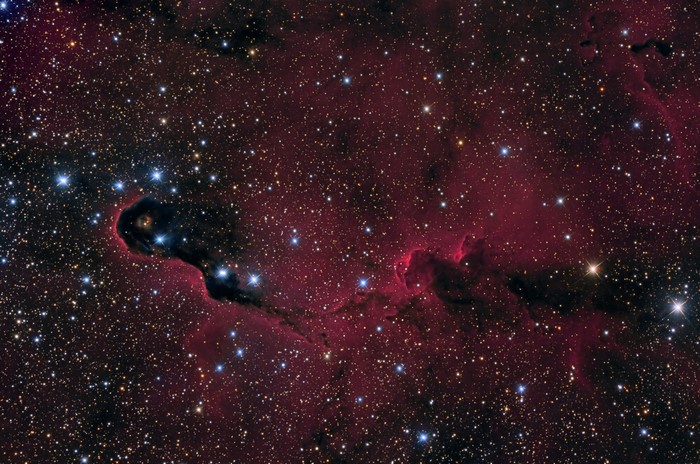 Elephant's Trunk Nebula in Space